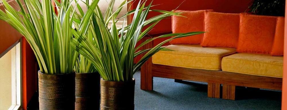 Heden Golf Hotel Abidżan Zewnętrze zdjęcie